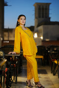 Chic & Stylish indo western pant set